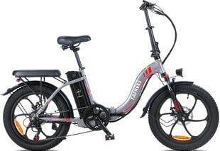 Электровелосипед Fafrees F20, 20", серый, 250Вт, 16Ач цена и информация | Электровелосипеды | kaup24.ee