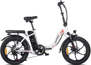 Электровелосипед Fafrees F20, 20", белый, 250Вт, 16Ач цена и информация | Электровелосипеды | kaup24.ee