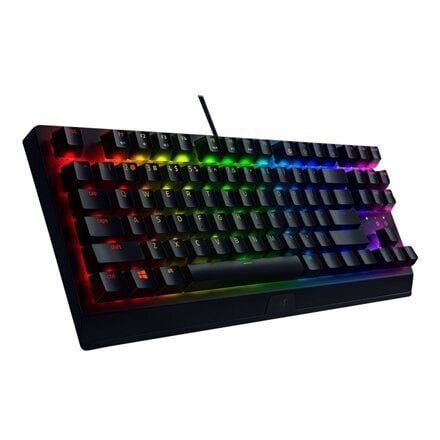 Razer Blackwidow V3 цена и информация | Klaviatuurid | kaup24.ee