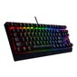 Razer Blackwidow V3 hind ja info | Klaviatuurid | kaup24.ee