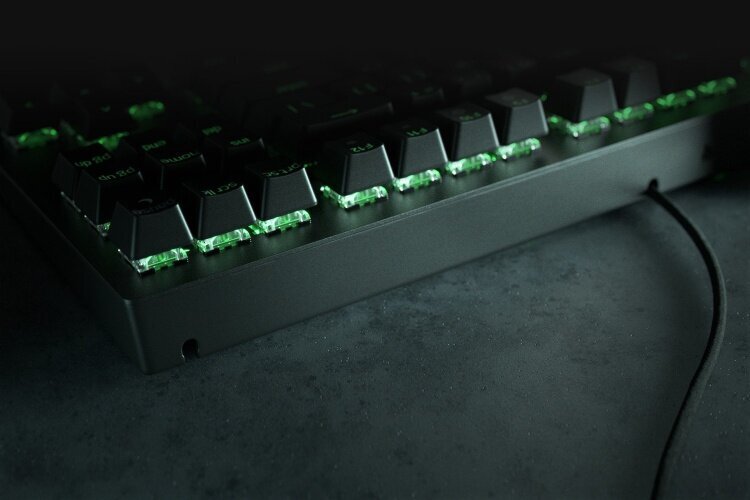 Razer Blackwidow V3 цена и информация | Klaviatuurid | kaup24.ee