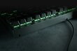 Razer Blackwidow V3 hind ja info | Klaviatuurid | kaup24.ee