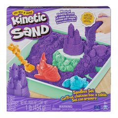 Kinetic Sand plastikust kineetiline liivalinnak lilla liivaga, vormid, ümbris ja tarvikud цена и информация | Принадлежности для рисования, лепки | kaup24.ee