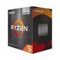 AMD Ryzen 5 5500GT 100-100001489BOX цена и информация | Protsessorid (CPU) | kaup24.ee