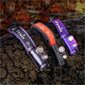 Taskulamp peas Fenix ​​​​HM65R-DT, Violetne цена и информация | Taskulambid, prožektorid | kaup24.ee