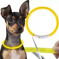 Светодиодный ошейник для собак Purlov, 70 x 1.2 см, желтый цена и информация | Ошейники, подтяжки для собак | kaup24.ee
