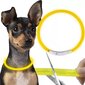LED kaelarihm koertele Purlov, 70x1,2 cm, kollane цена и информация | Kaelarihmad ja traksid koertele | kaup24.ee