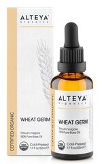 Nisuidu õli Alteya Organic wheat germ oil, 50ml цена и информация | Эфирные, косметические масла, гидролаты | kaup24.ee