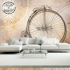 Fototapeet - Vintage bicycles - sepia hind ja info | Fototapeedid | kaup24.ee