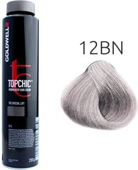 Juuksevärv Goldwell Topchic 12BN Ultra Blonde, Beige Natural, 250 ml цена и информация | Краска для волос | kaup24.ee