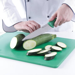 Нож поварской для овощей и фруктов HACCP 385мм - зеленый - HENDI 842713 цена и информация | Подставка для ножей Tescoma Woody, 21 см | kaup24.ee