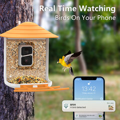 Кормушка для птиц с камерой цена и информация | Скворечники, кормушки, клетки | kaup24.ee