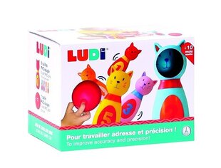 Bowlingu komplekt lastele Ludi Kassid hind ja info | Imikute mänguasjad | kaup24.ee