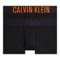 Calvin Klein aluspüksid meestele 84787, 2 tk hind ja info | Meeste aluspesu | kaup24.ee