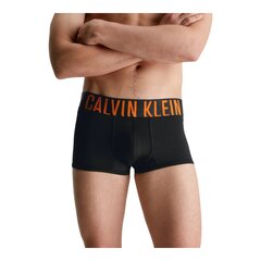 Calvin Klein aluspüksid meestele 84787, 2 tk hind ja info | Meeste aluspesu | kaup24.ee