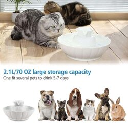 Keraamiline purskkaev kassidele/koertele hind ja info | Toidukausid loomadele | kaup24.ee