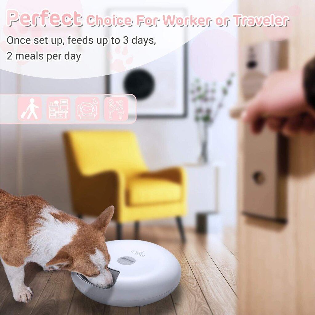 Automaatne kassi/koera söötja цена и информация | Toidukausid loomadele | kaup24.ee