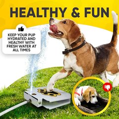 Нажимной фонтан для собак цена и информация | Миски, ящики для корма | kaup24.ee