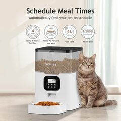 Automaatne kassi/koera söötja hind ja info | Toidukausid loomadele | kaup24.ee