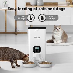 Автоматическая кормушка для котов/собак цена и информация | Миски, ящики для корма | kaup24.ee