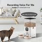 Automaatne kassi/koera söötja hind ja info | Toidukausid loomadele | kaup24.ee