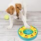 Interaktiivne kassi/koera mänguasi Food Roulette hind ja info | Mänguasjad kassidele | kaup24.ee