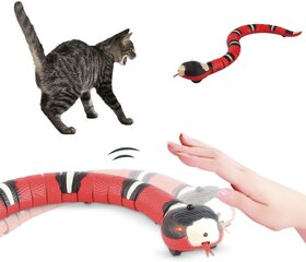 Игрушка для кошек Snake цена и информация | Игрушки для кошек | kaup24.ee