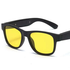 Солнцезащитные очки alexios plus для безопасного вождения цена и информация | Солнцезащитные очки для мужчин | kaup24.ee