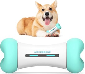 Interaktiivne mänguasi koertele WickedBone, roheline цена и информация | Игрушки для собак | kaup24.ee