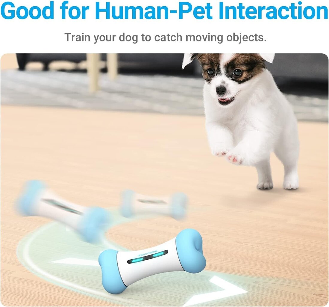 Interaktiivne mänguasi koertele WickedBone, sinine hind ja info | Mänguasjad koertele | kaup24.ee