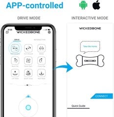 Interaktiivne mänguasi koertele WickedBone, sinine hind ja info | Mänguasjad koertele | kaup24.ee