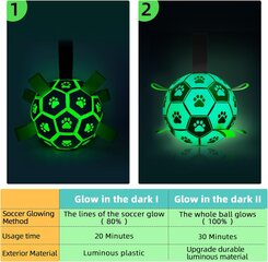 Interaktiivne pall koertele Luminous цена и информация | Игрушки для собак | kaup24.ee