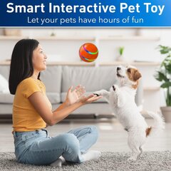 Interaktiivne pall kassidele/koertele цена и информация | Игрушки для собак | kaup24.ee
