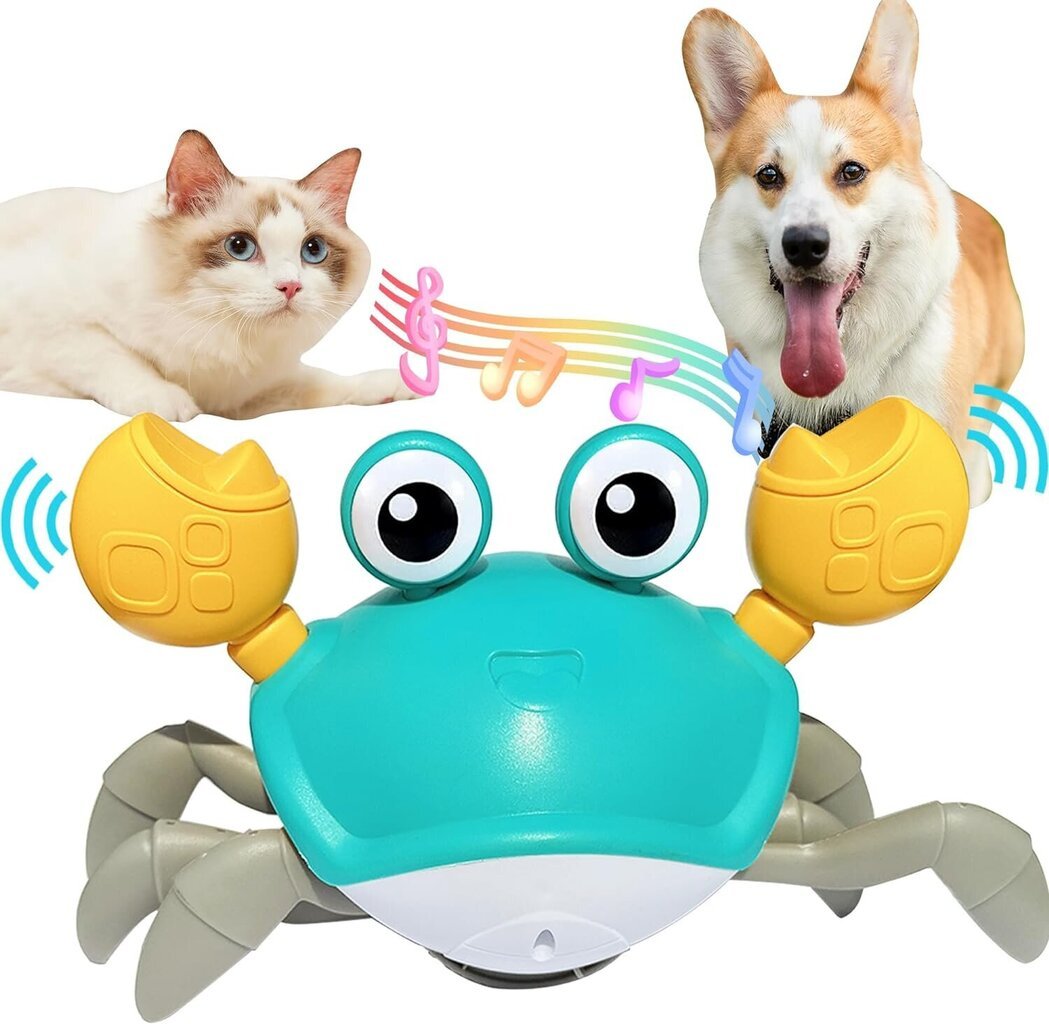 Interaktiivne kassi/koera mänguasi Crab цена и информация | Mänguasjad koertele | kaup24.ee