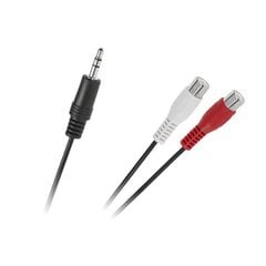 Kaabel, 3.5 mm, 2xRCA, 0.25 m hind ja info | Kaablid ja juhtmed | kaup24.ee