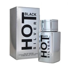 Парфюмерная вода Hot Black Silver Bernard Dimitri EDP Для мужчин 100 мл цена и информация | Мужские духи | kaup24.ee