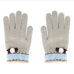 Перчатки для сенсорных экранов цена и информация | Женские перчатки | kaup24.ee