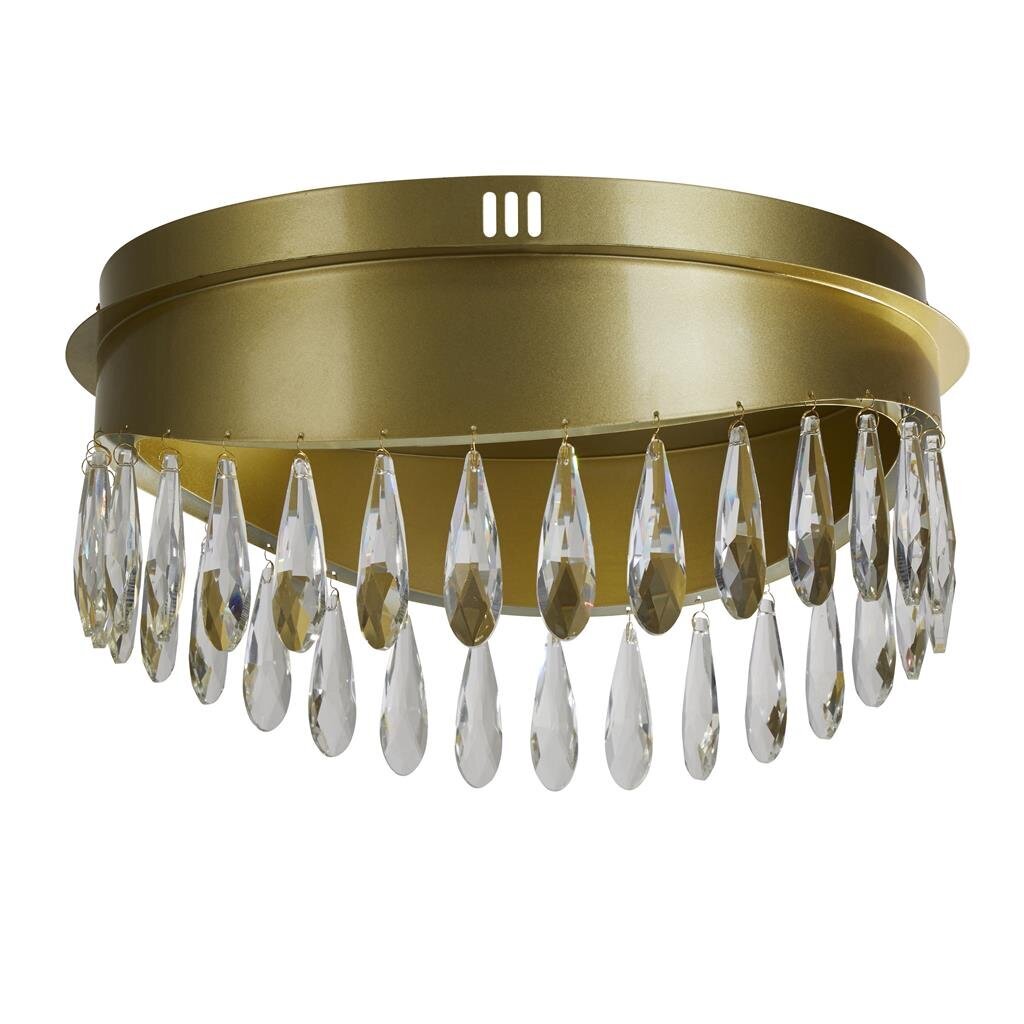 Laevalgusti Searchlight Jewel LED 19211-1GO цена и информация | Laelambid | kaup24.ee