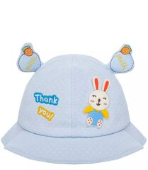 Päikesekaitse müts poistele, sinine hind ja info | Poiste mütsid, sallid, kindad | kaup24.ee