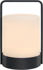 Светодиодная уличная лампа uuffoo с аккумулятором цена и информация | Уличное освещение | kaup24.ee
