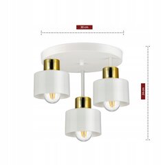 Потолочный светильник Luxolar цена и информация | Потолочные светильники | kaup24.ee