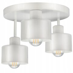 Потолочный светильник Luxolar, белый цена и информация | Потолочные светильники | kaup24.ee