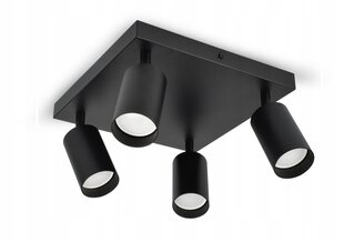 Потолочный светильник Luxolar, черный цена и информация | Потолочные светильники | kaup24.ee