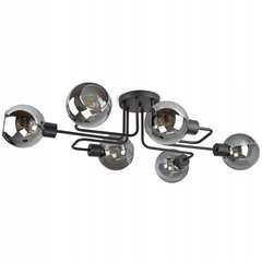 Luxolar потолочный светильник цена и информация | Потолочные светильники | kaup24.ee