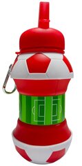 Silikoonist kokkupandav veepudel, 520 ml цена и информация | Бутылки для воды | kaup24.ee