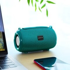 Borofone Portable Bluetooth Speaker BR4 Horizon turquoise цена и информация | Аудиоколонки | kaup24.ee