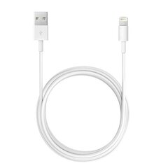 Cable - USB to Lightning - Iphone 5|6|7|8|X 2 Meters WHITE цена и информация | Borofone 43757-uniw | kaup24.ee