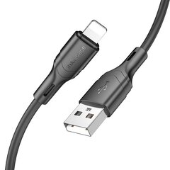 Borofone, USB, Lightning hind ja info | Mobiiltelefonide kaablid | kaup24.ee