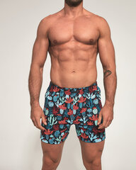 Aluspüksid meestele Cornette, erinevad värvid hind ja info | Meeste aluspesu | kaup24.ee