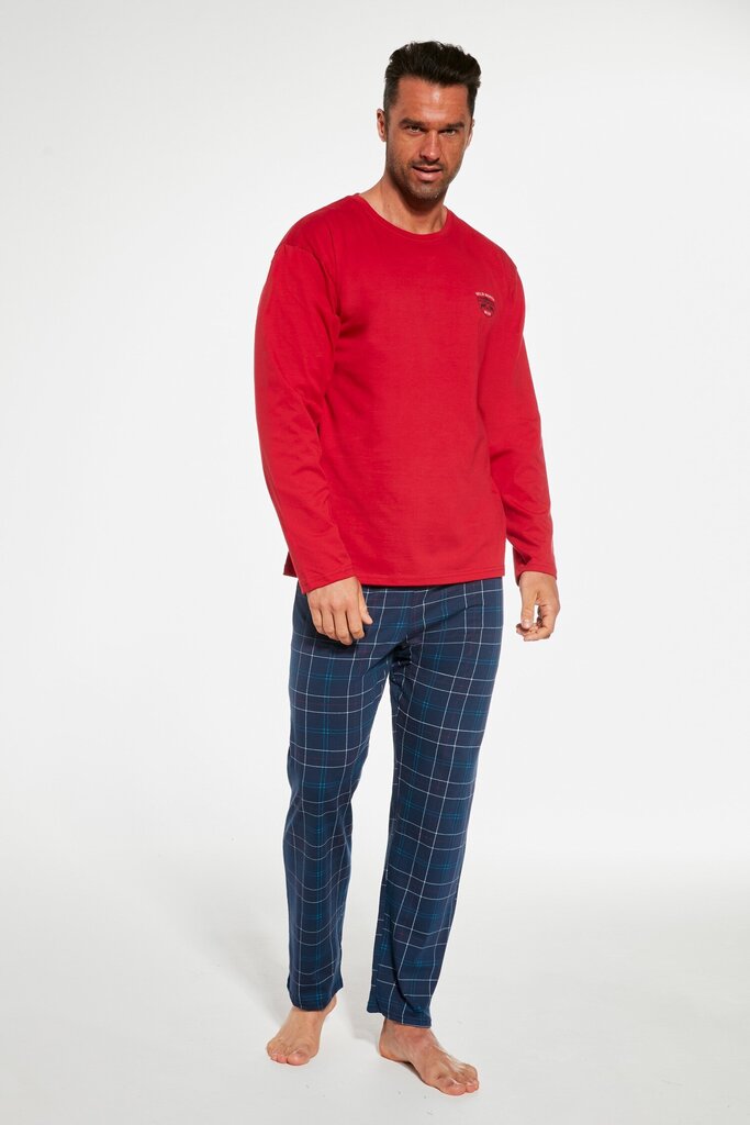 Pidžaamad meestele 5902458220939, erinevad värvid hind ja info | Meeste hommikumantlid, pidžaamad | kaup24.ee